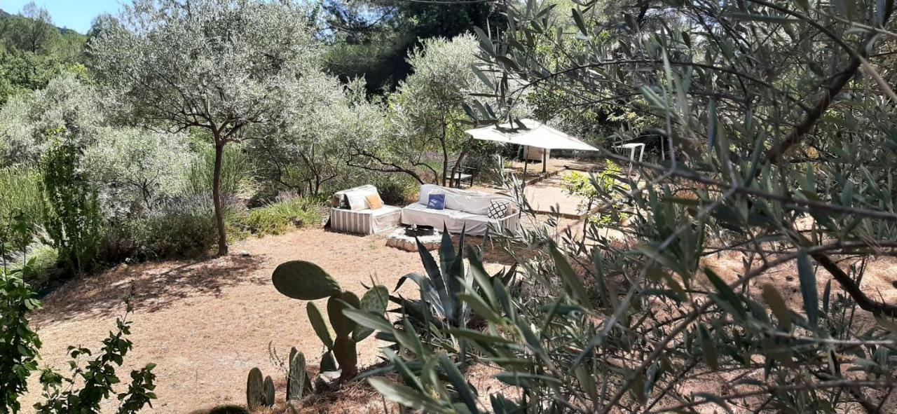 La Villa Jasmin Montauroux Exteriör bild