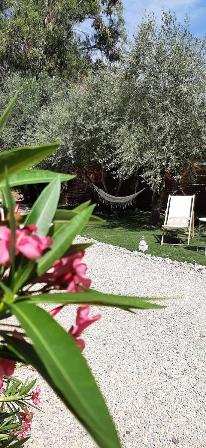 La Villa Jasmin Montauroux Exteriör bild